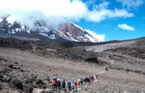 Kilimanjaro